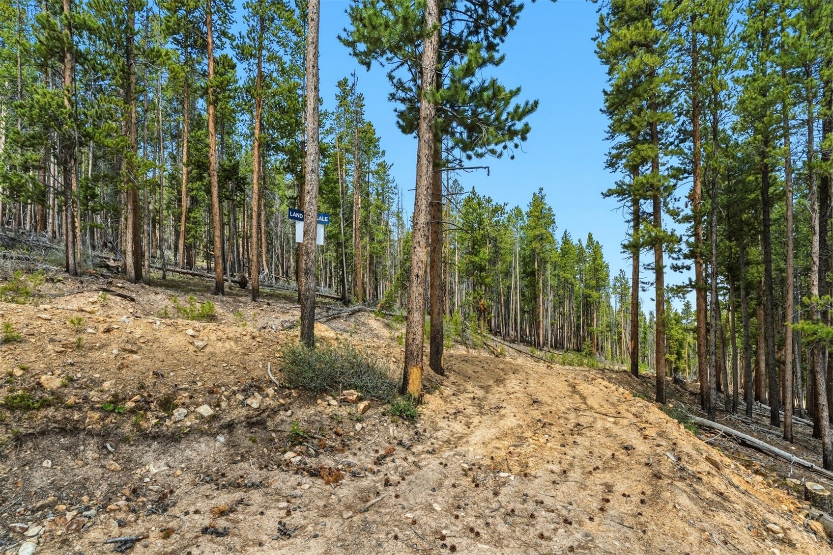 653 Summit Gulch Road Breckenridge, CO 80424 - Photo 9 of 18