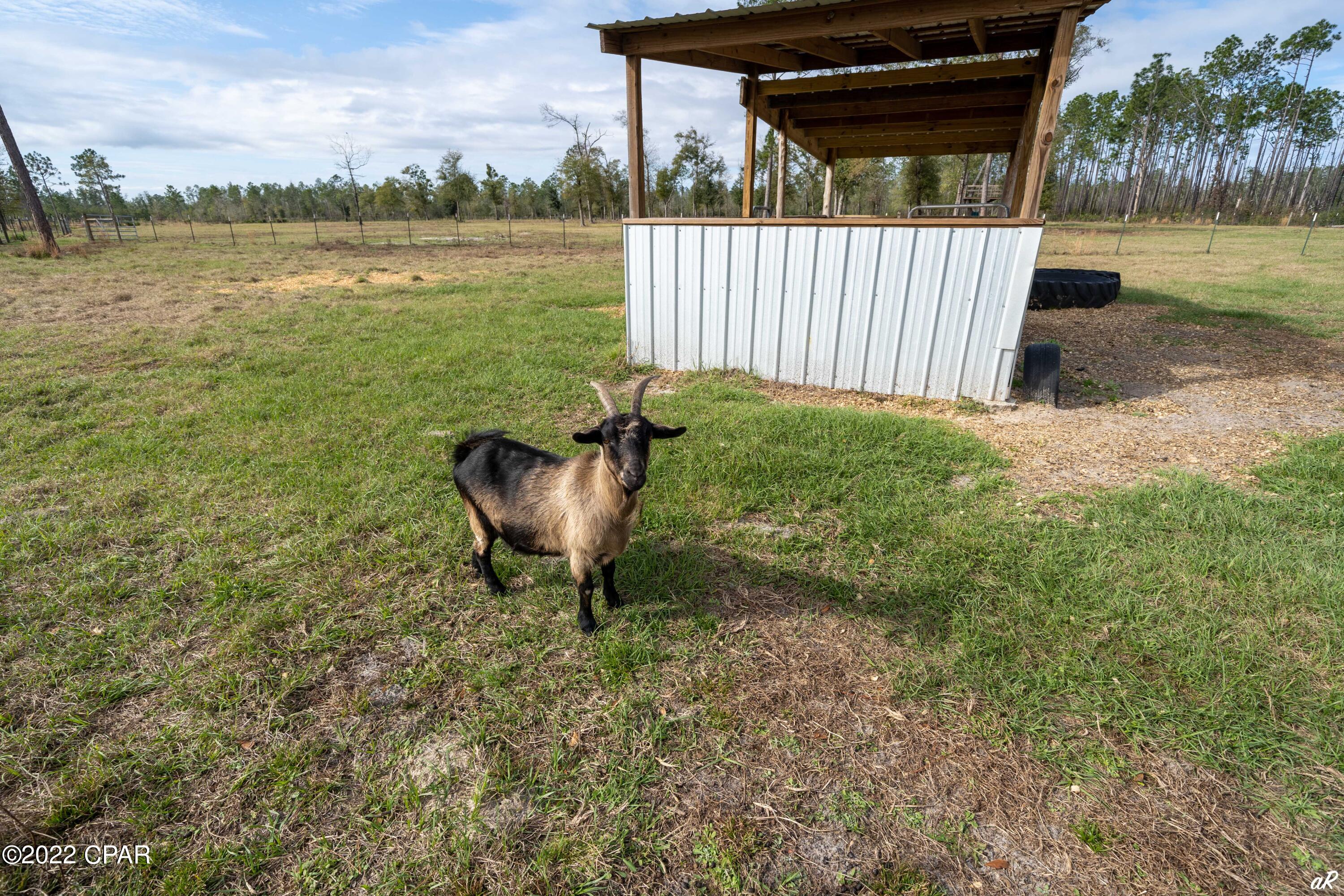 17351 Foster Road Fountain, FL 32438 - Photo 25 of 29