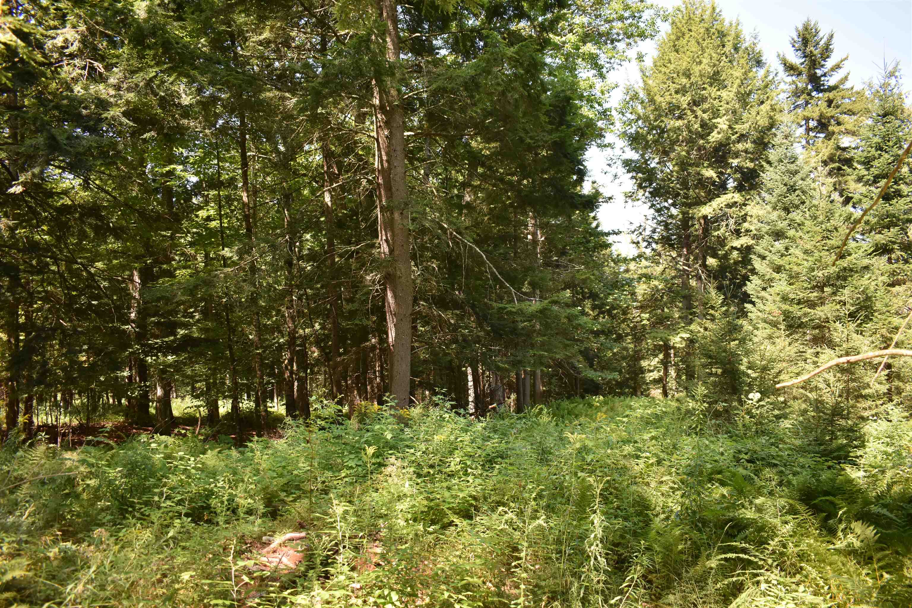 0 Jacobs Road, Unit 3 Montpelier, VT 05602 - Photo 2 of 5