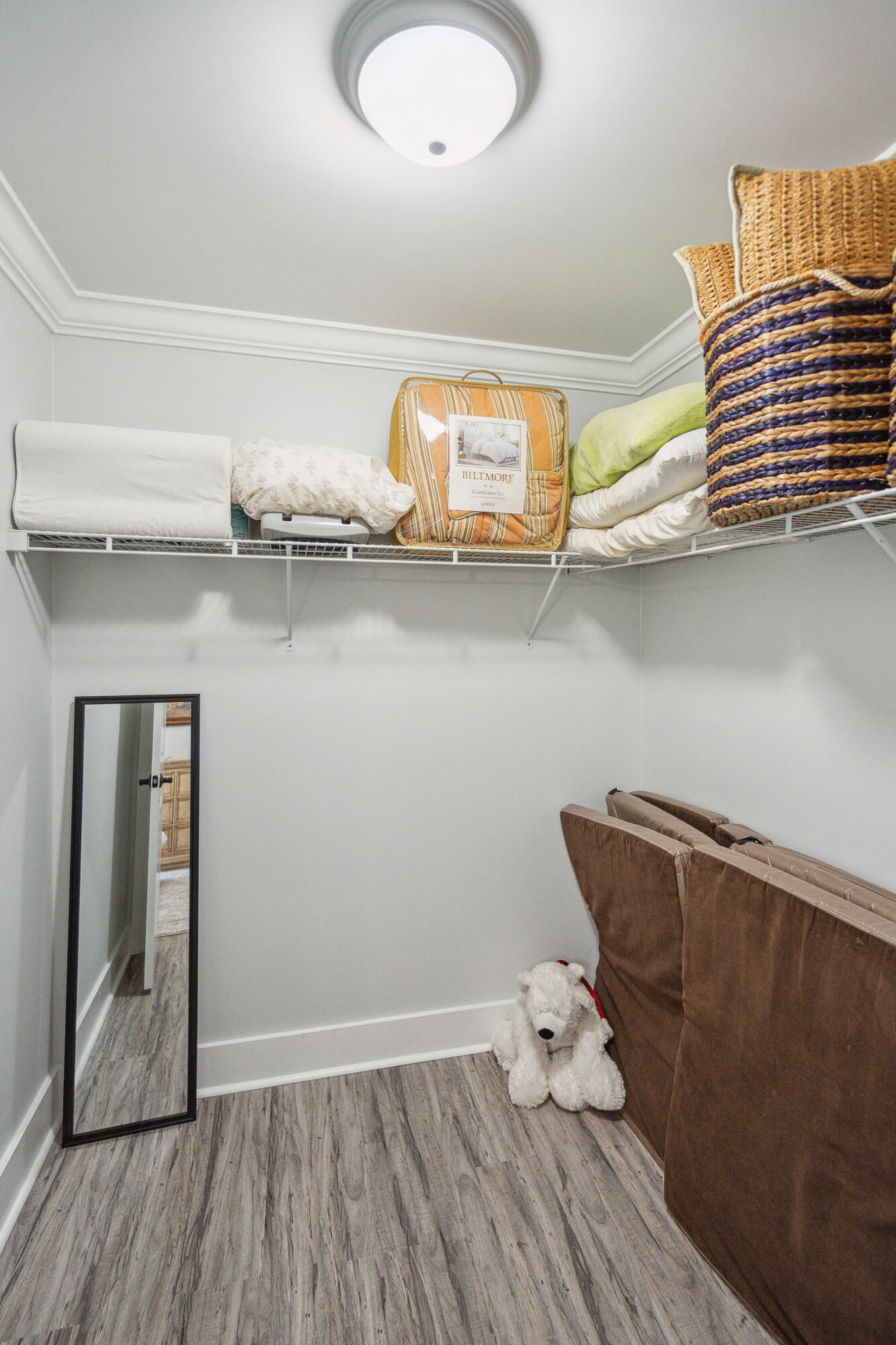 6099 Jacob's Point Boulevard Ravenel, SC 29470 - Photo 55 of 88 Bedroom 3 Walk-In Closet