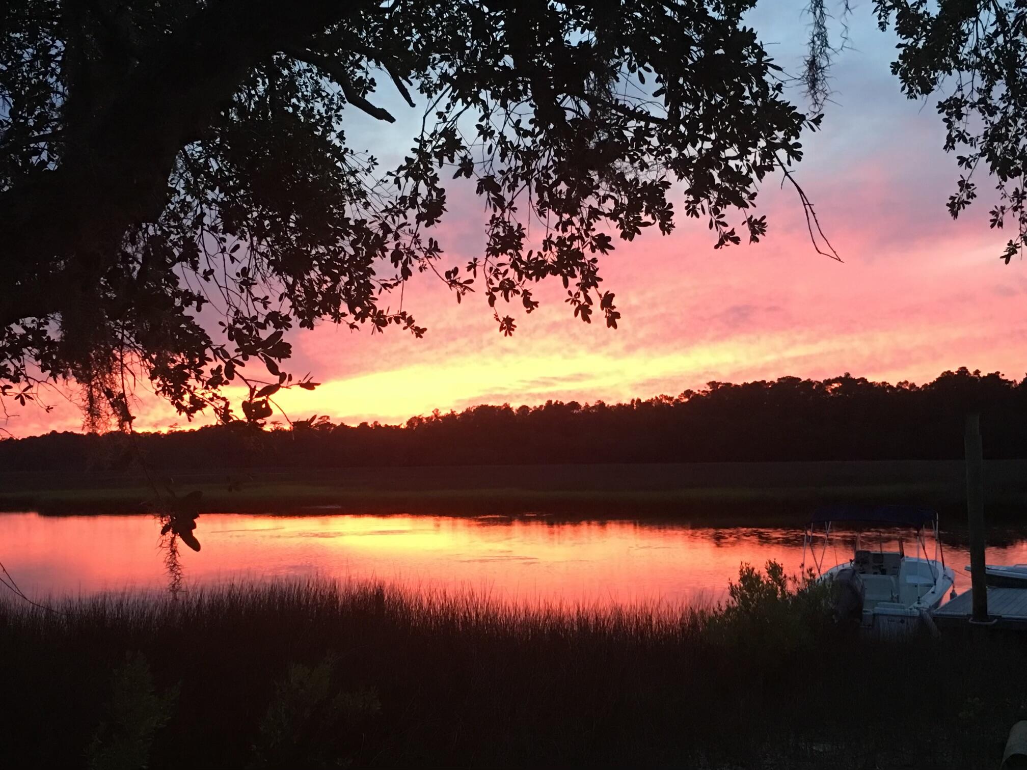 6099 Jacob's Point Boulevard Ravenel, SC 29470 - Photo 88 of 88 Sunset under the trees