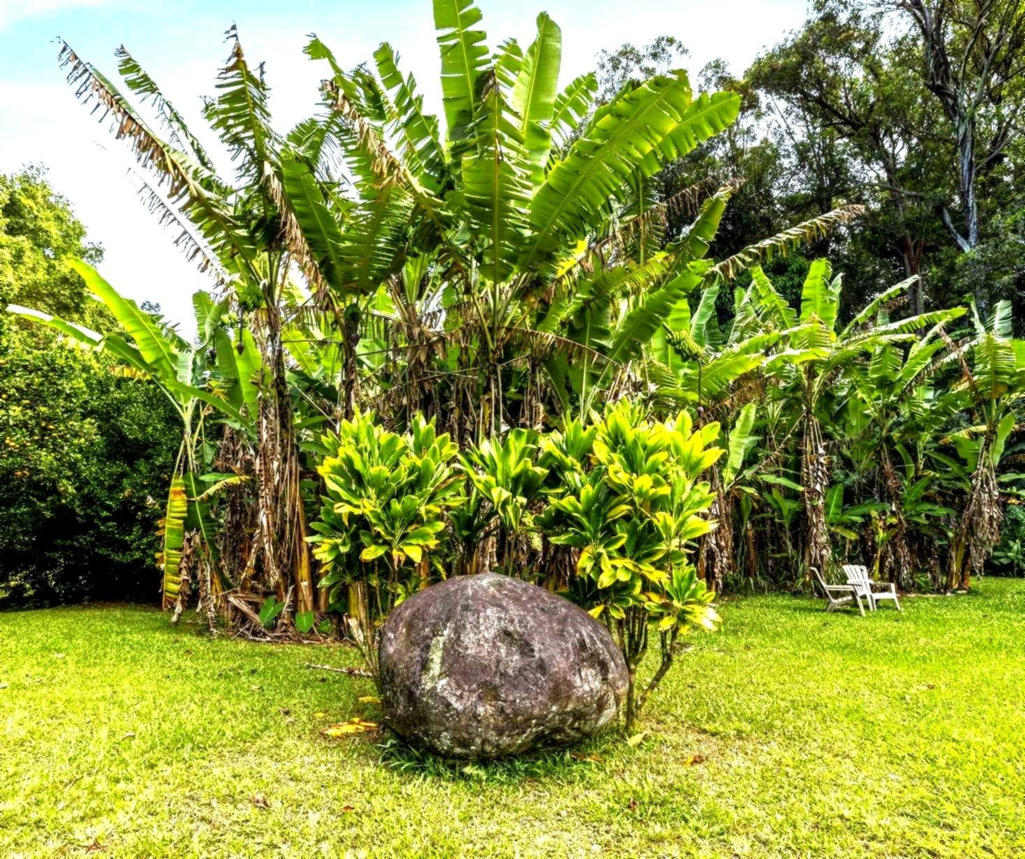 105 East Kuiaha Road Haiku, HI 96708 - Photo 16 of 24 a backyard of a house with lots of green space