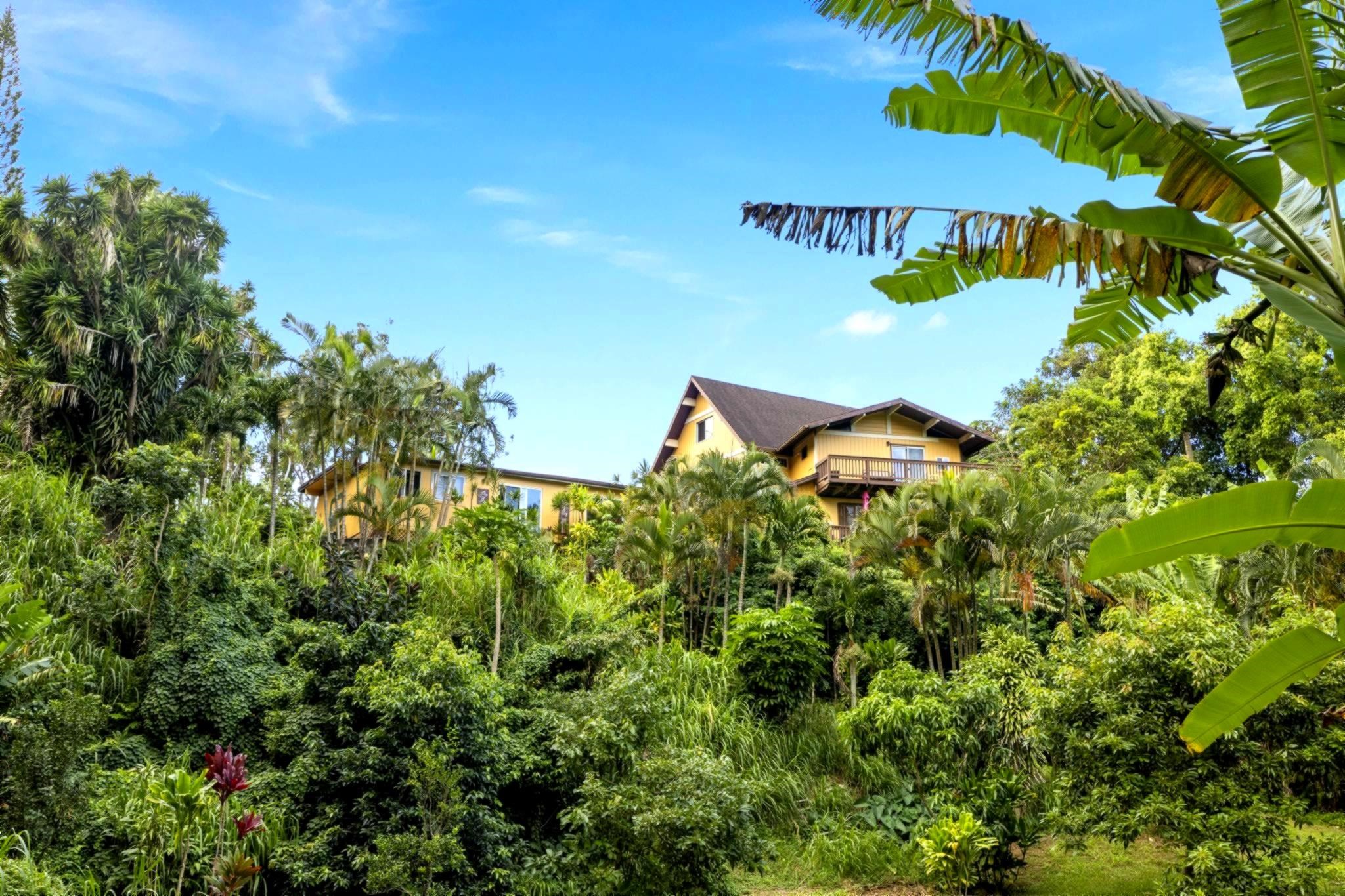 105 East Kuiaha Road Haiku, HI 96708 - Photo 10 of 24