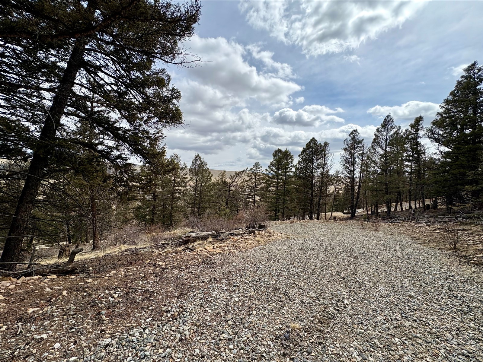1445 Redhill Road Fairplay, CO 80440 - Photo 25 of 31 View of landscape featuring a view of trees