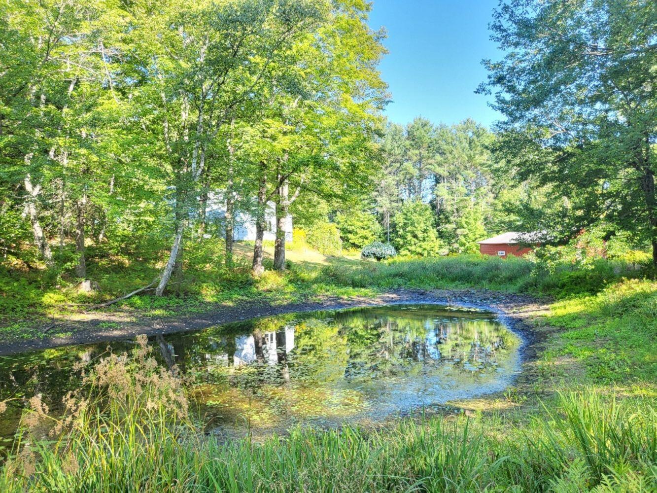 965 Industry Road Farmington, ME 04938 - Photo 49 of 79 20250821_162914_resized_result