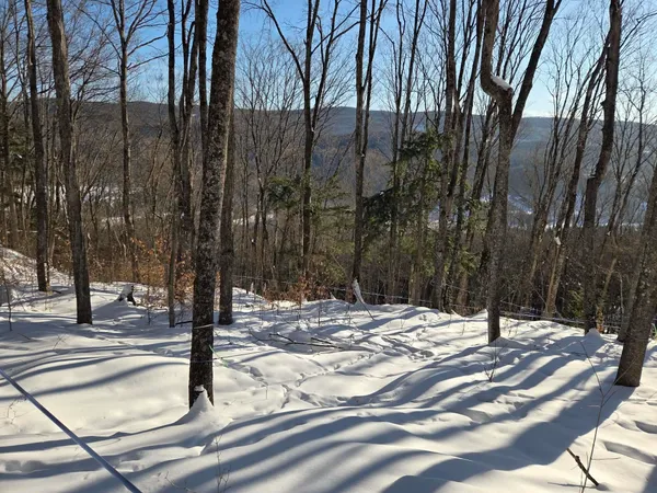 $48,900 | 0 Route 66 Randolph Vt 05060, Randolph Center, VT 05061