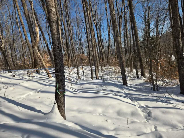 $48,900 | 0 Route 66 Randolph Vt 05060, Randolph Center, VT 05061