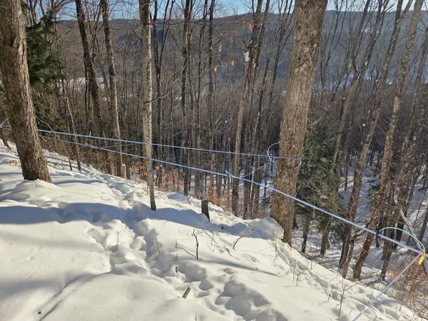 $48,900 | 0 Route 66 Randolph Vt 05060, Randolph Center, VT 05061