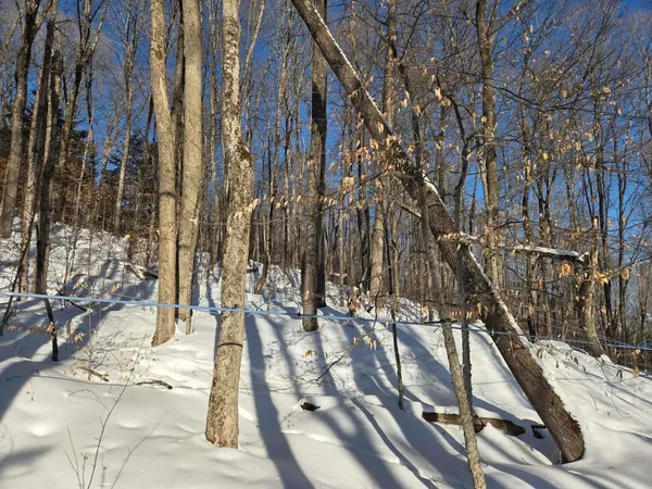 $48,900 | 0 Route 66 Randolph Vt 05060, Randolph Center, VT 05061