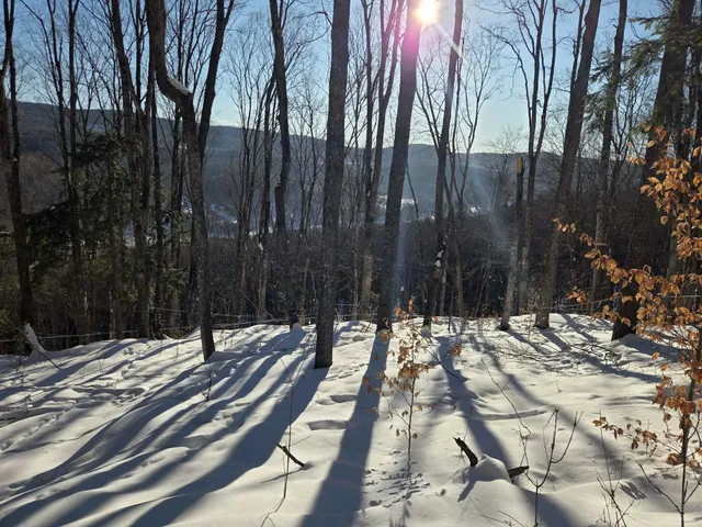 $48,900 | 0 Route 66 Randolph Vt 05060, Randolph Center, VT 05061