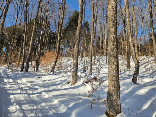 $48,900 | 0 Route 66 Randolph Vt 05060, Randolph Center, VT 05061