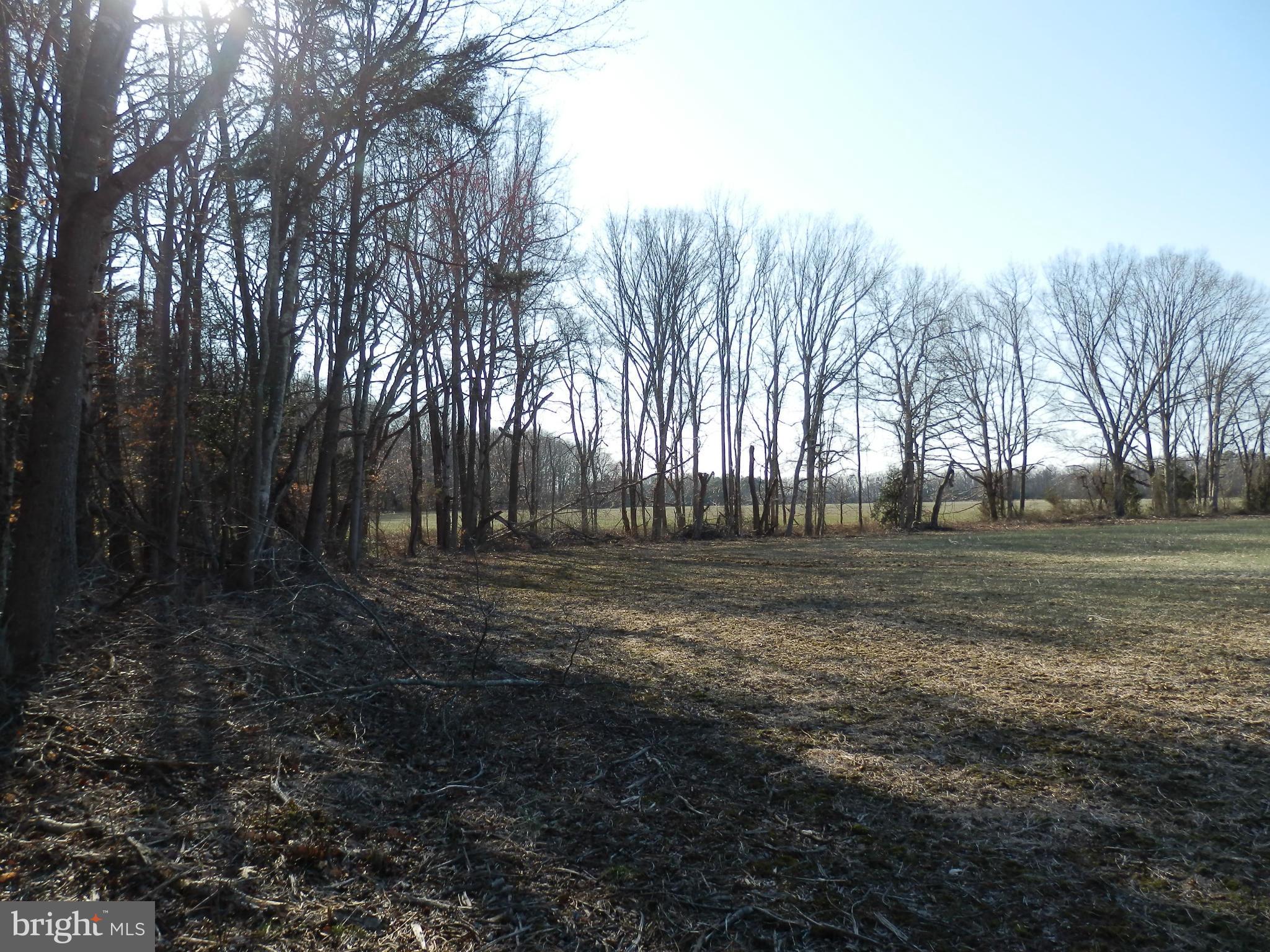 8458 Powhatan Road King George, VA 22485 - Photo 11 of 11 Rear of cleared land