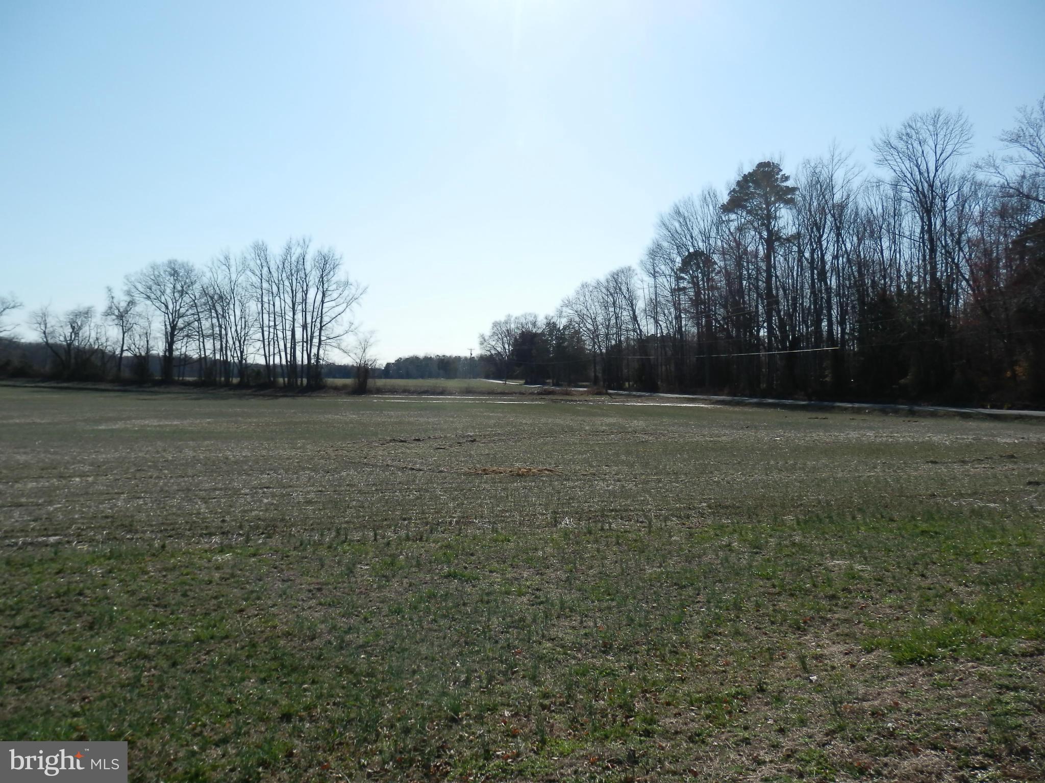 8458 Powhatan Road King George, VA 22485 - Photo 4 of 11 22 Acres of Cropland