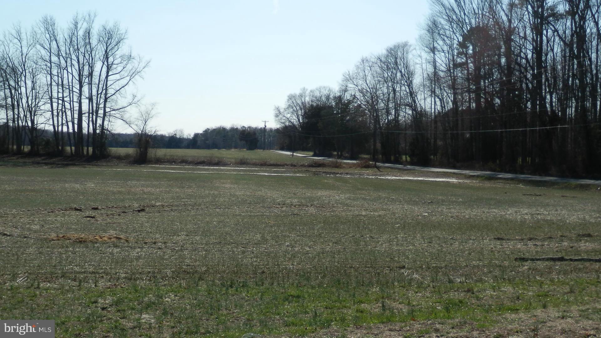 8458 Powhatan Road King George, VA 22485 - Photo 5 of 11 Cropland