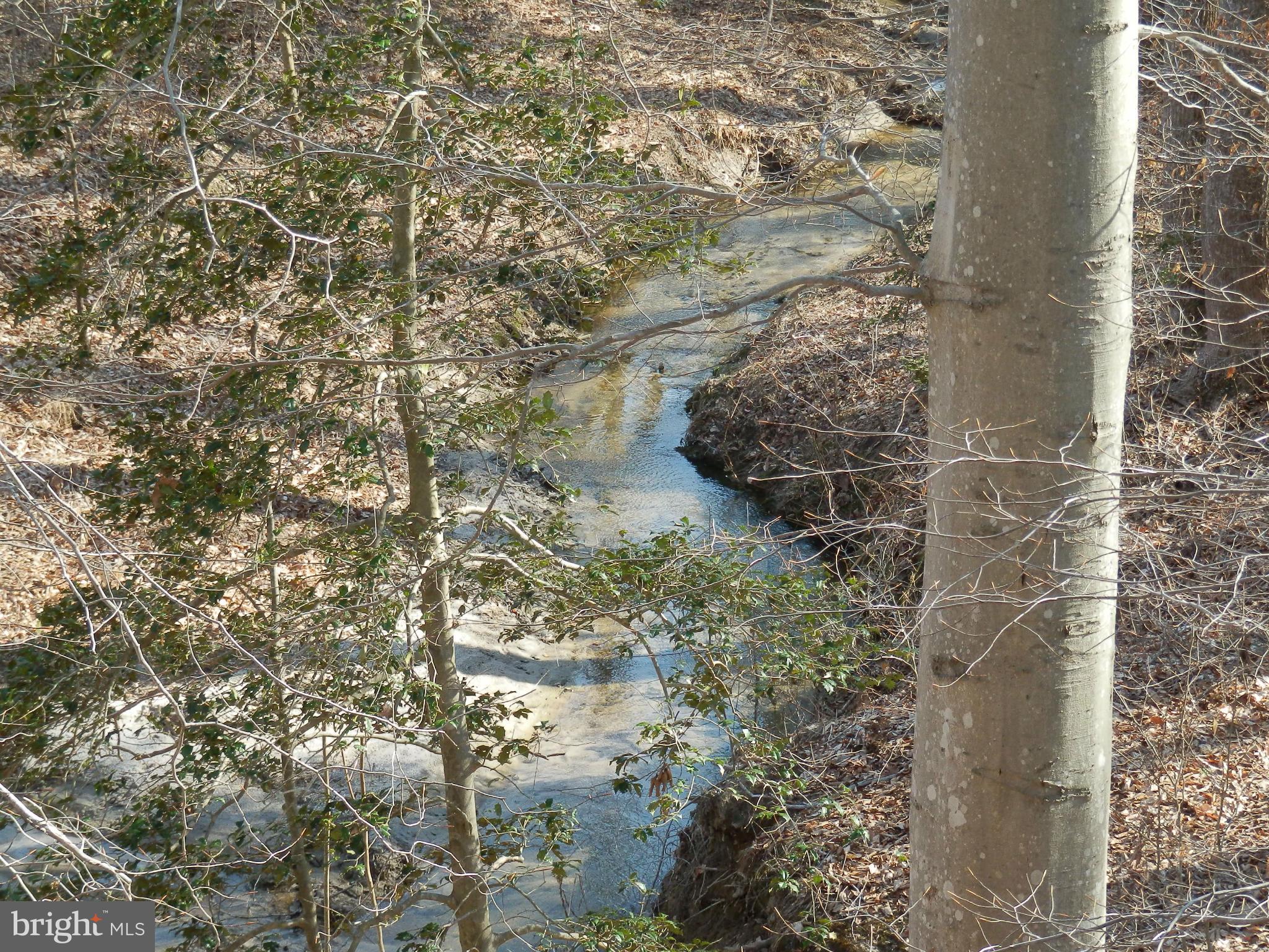 8458 Powhatan Road King George, VA 22485 - Photo 8 of 11 Stream along rear property line