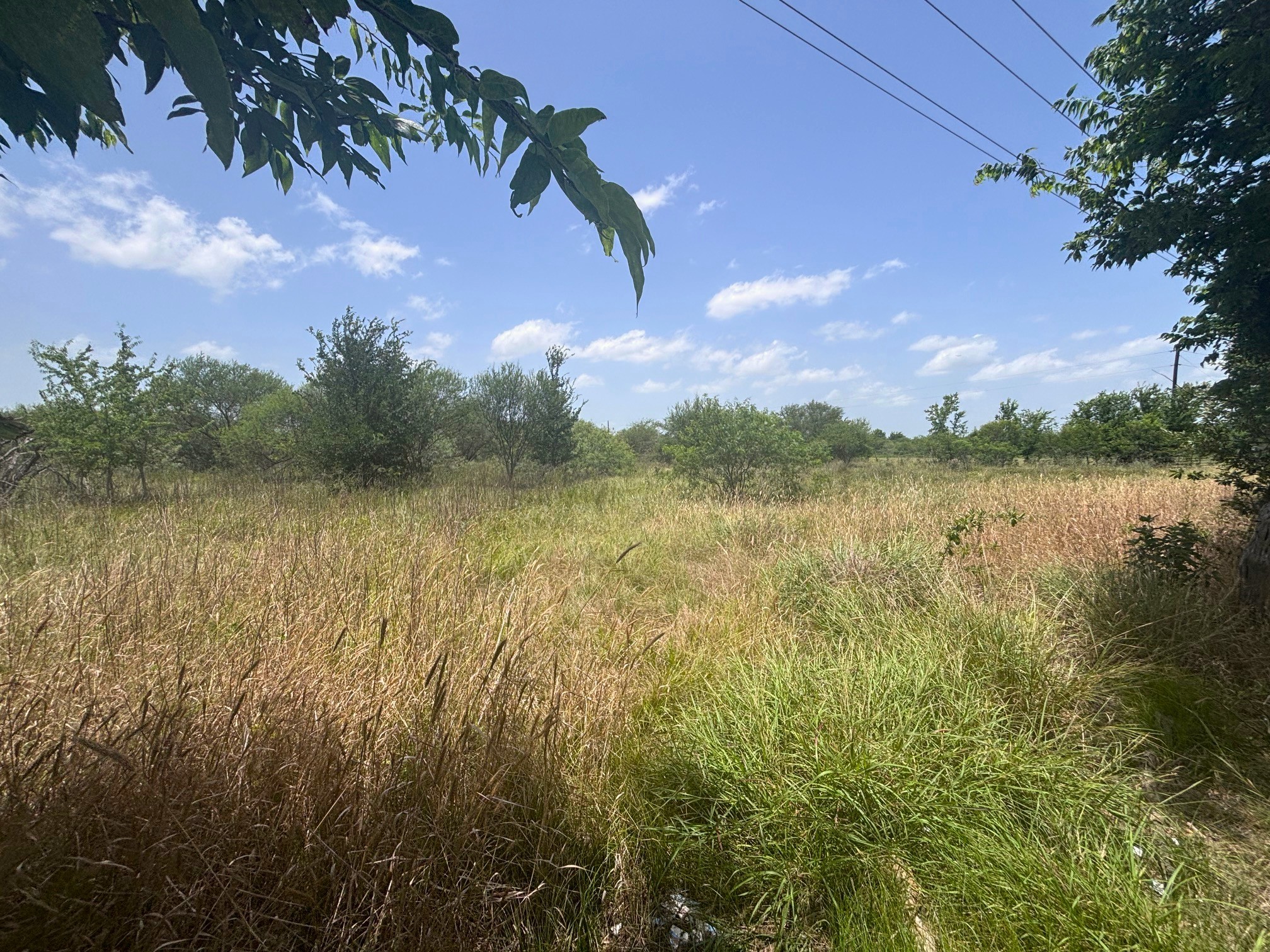 8555 Kerr Road Hempstead, TX 77445 - Photo 2 of 5