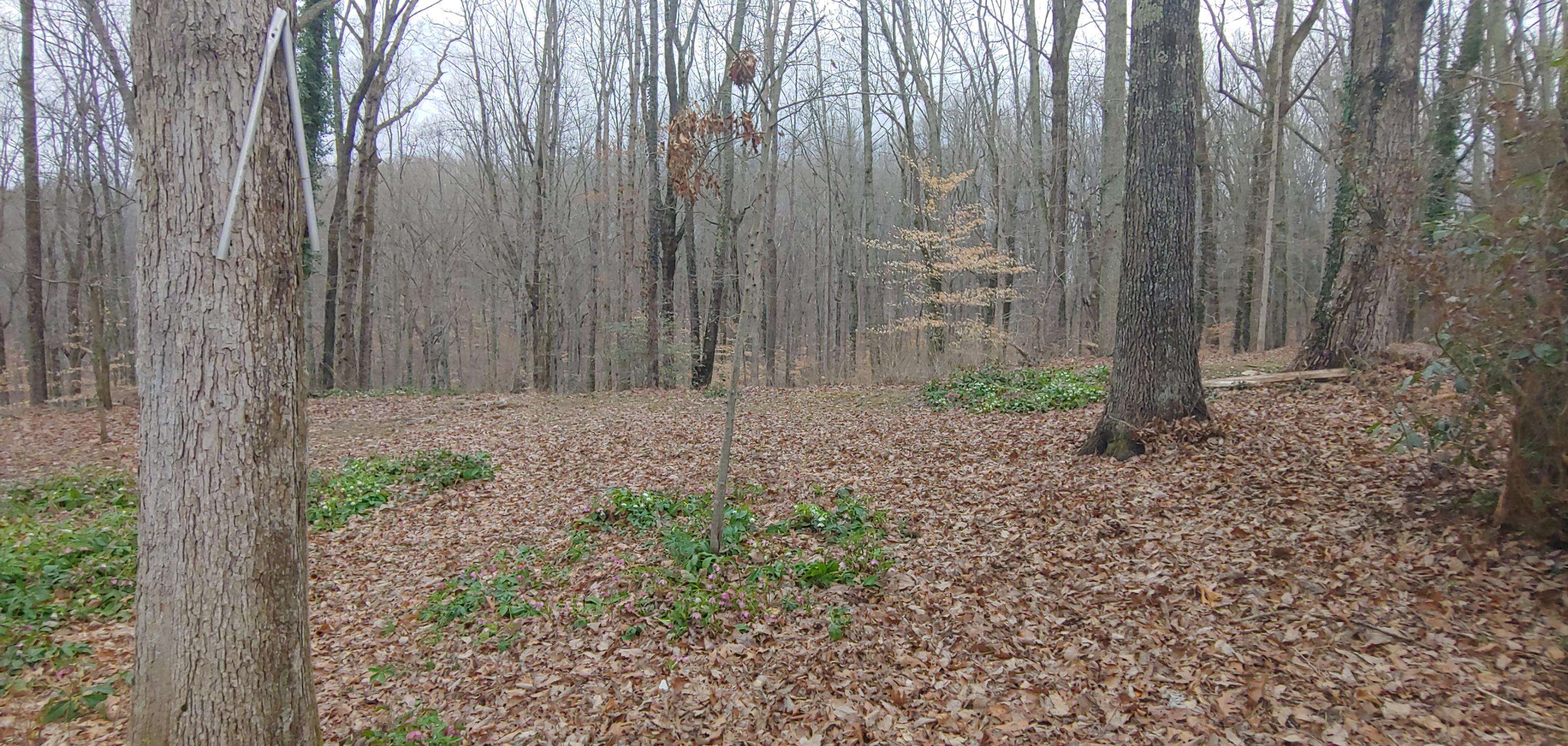 76 Outer Drive Oak Ridge, TN 37830 - Photo 22 of 23 0228211600a_HDR