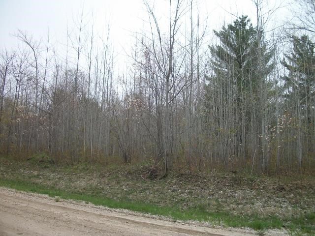 1875 Baker Road Northeast Kalkaska, MI 49646 - Photo 5 of 12 1784792-4.JPG