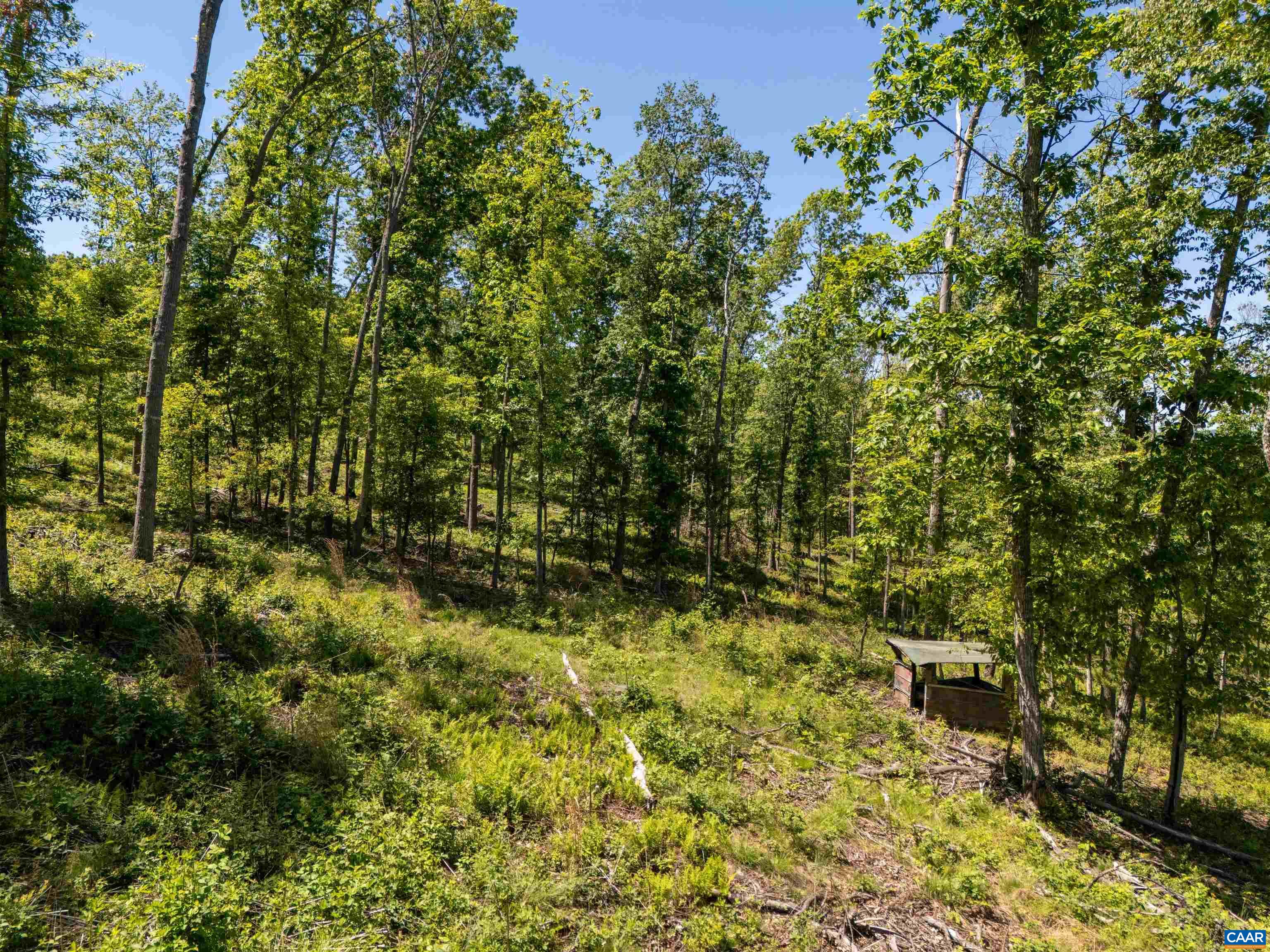 226 Mill Creek Road Millboro, VA 24460 - Photo 57 of 66