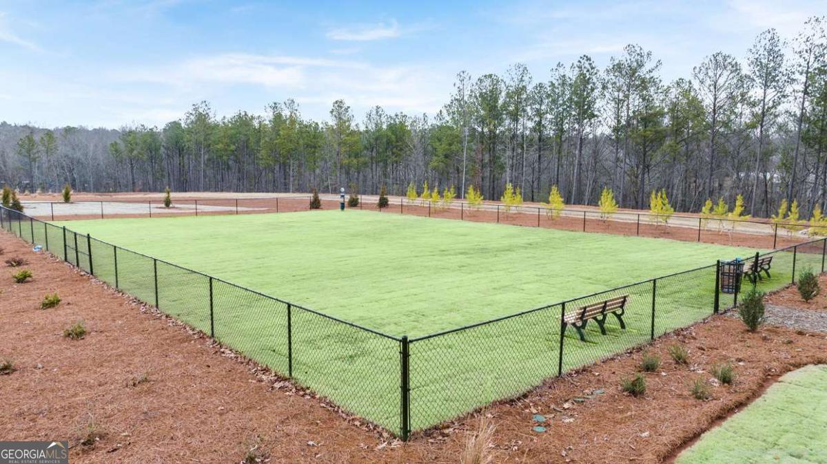 289 Sound Circle Stockbridge, GA 30281 - Photo 3 of 67 a view of a backyard with large trees