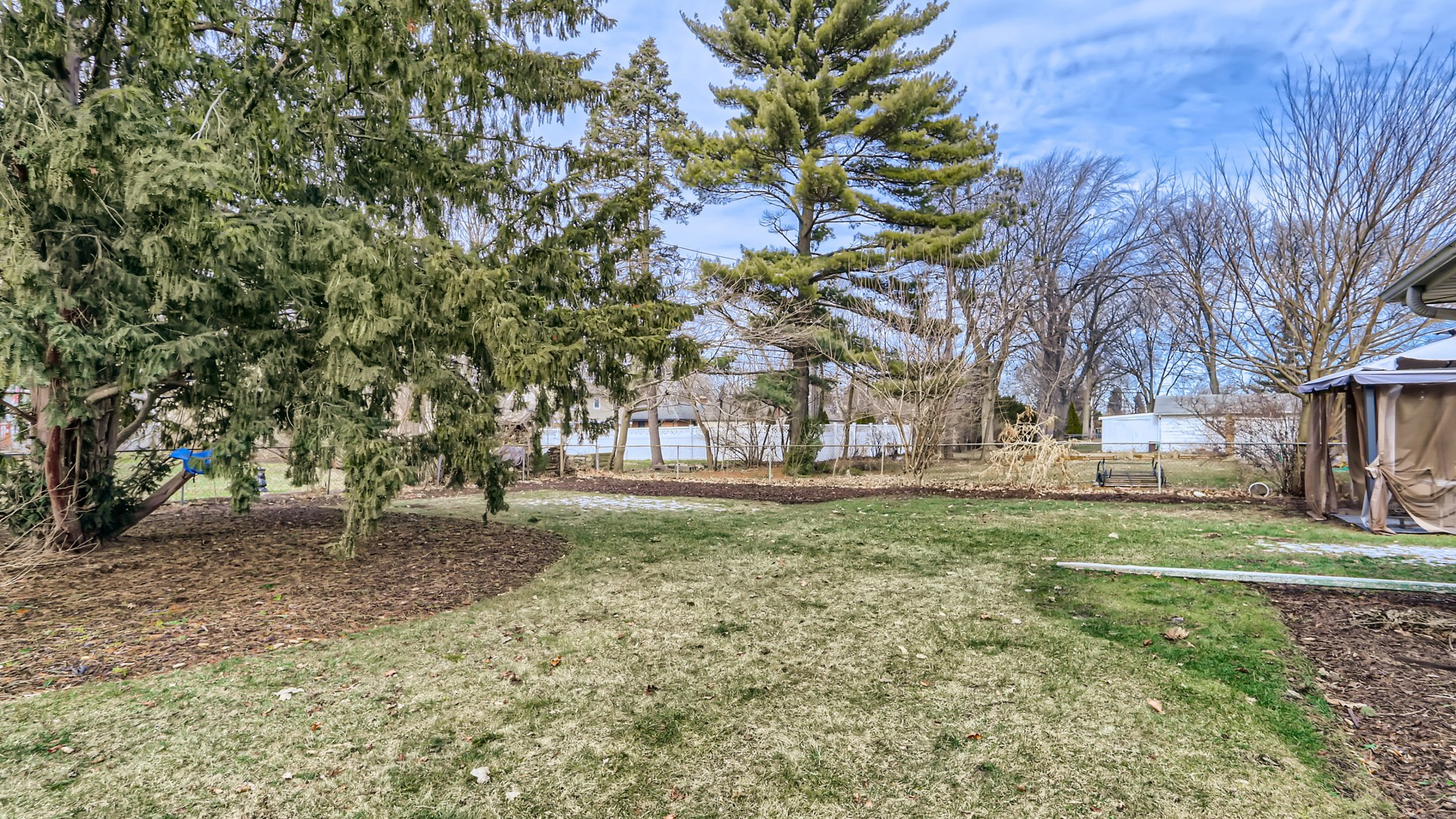 112 South Mt Prospect Road Mount Prospect, IL 60056 - Photo 26 of 27 a view of a yard with a tree
