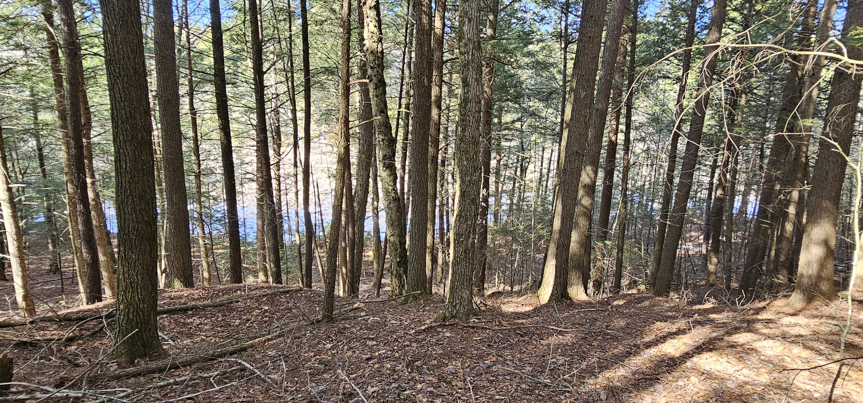 31-31-1 Weymouth Road Albion, ME 04910 - Photo 11 of 14 11. Back Land