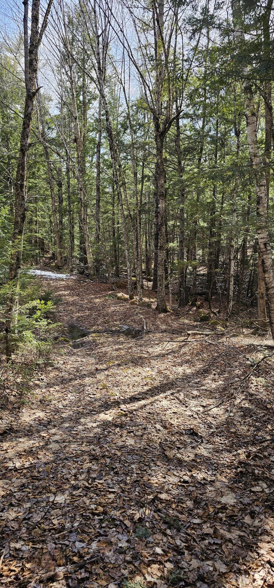 31-31-1 Weymouth Road Albion, ME 04910 - Photo 13 of 14 13. Paths through woods