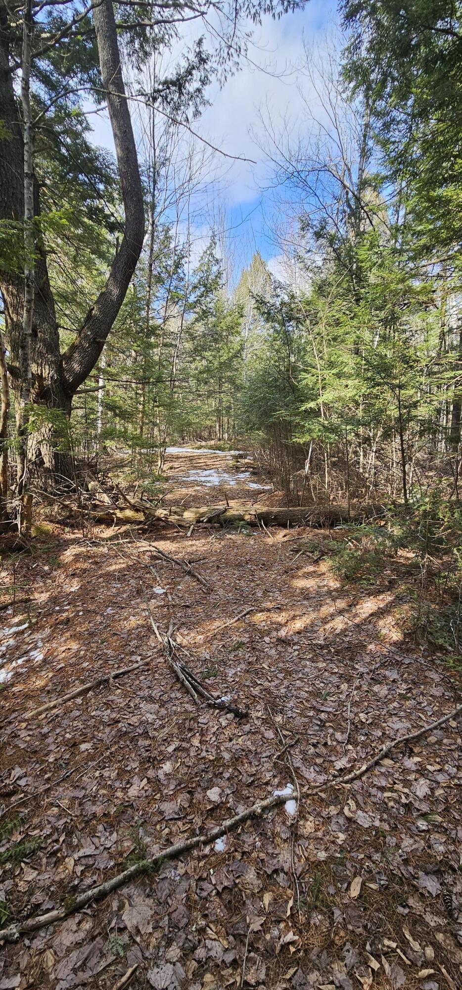 31-31-1 Weymouth Road Albion, ME 04910 - Photo 14 of 14 14. Paths through woods