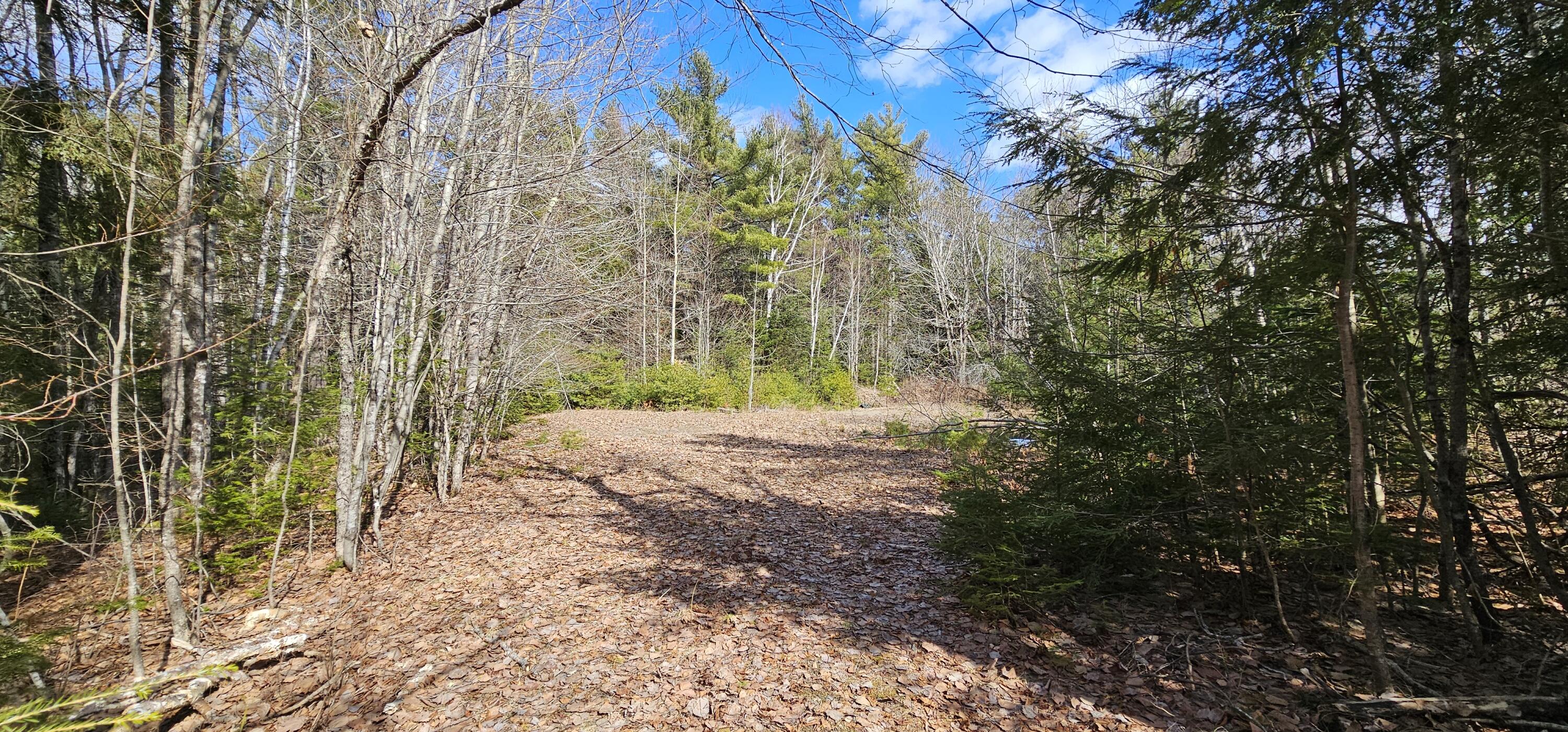 31-31-1 Weymouth Road Albion, ME 04910 - Photo 4 of 14 4. Right of Way to Back Parcel
