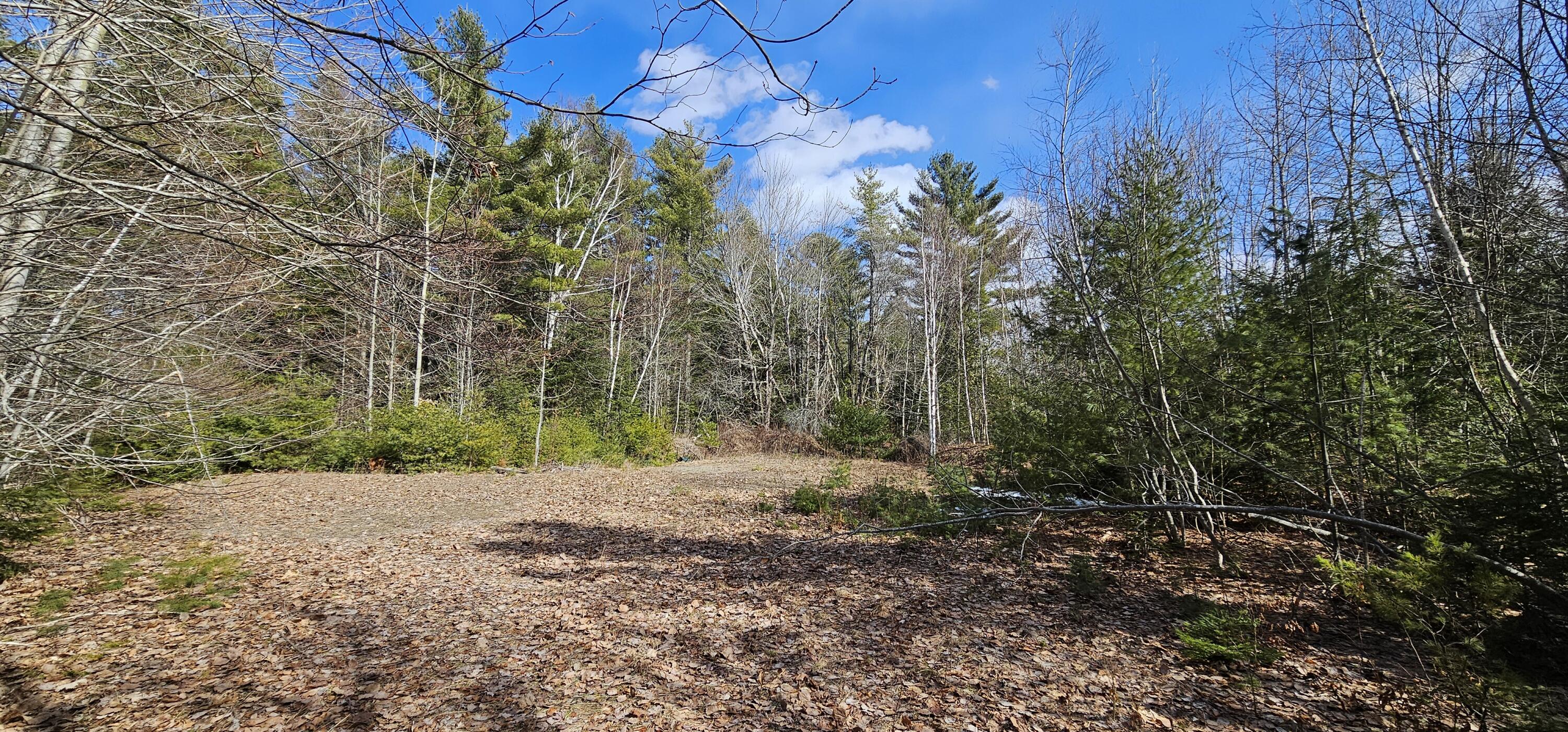 31-31-1 Weymouth Road Albion, ME 04910 - Photo 6 of 14 06. Land