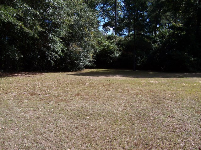 30 Harrison Road Warrenville, SC 29851 - Photo 3 of 18