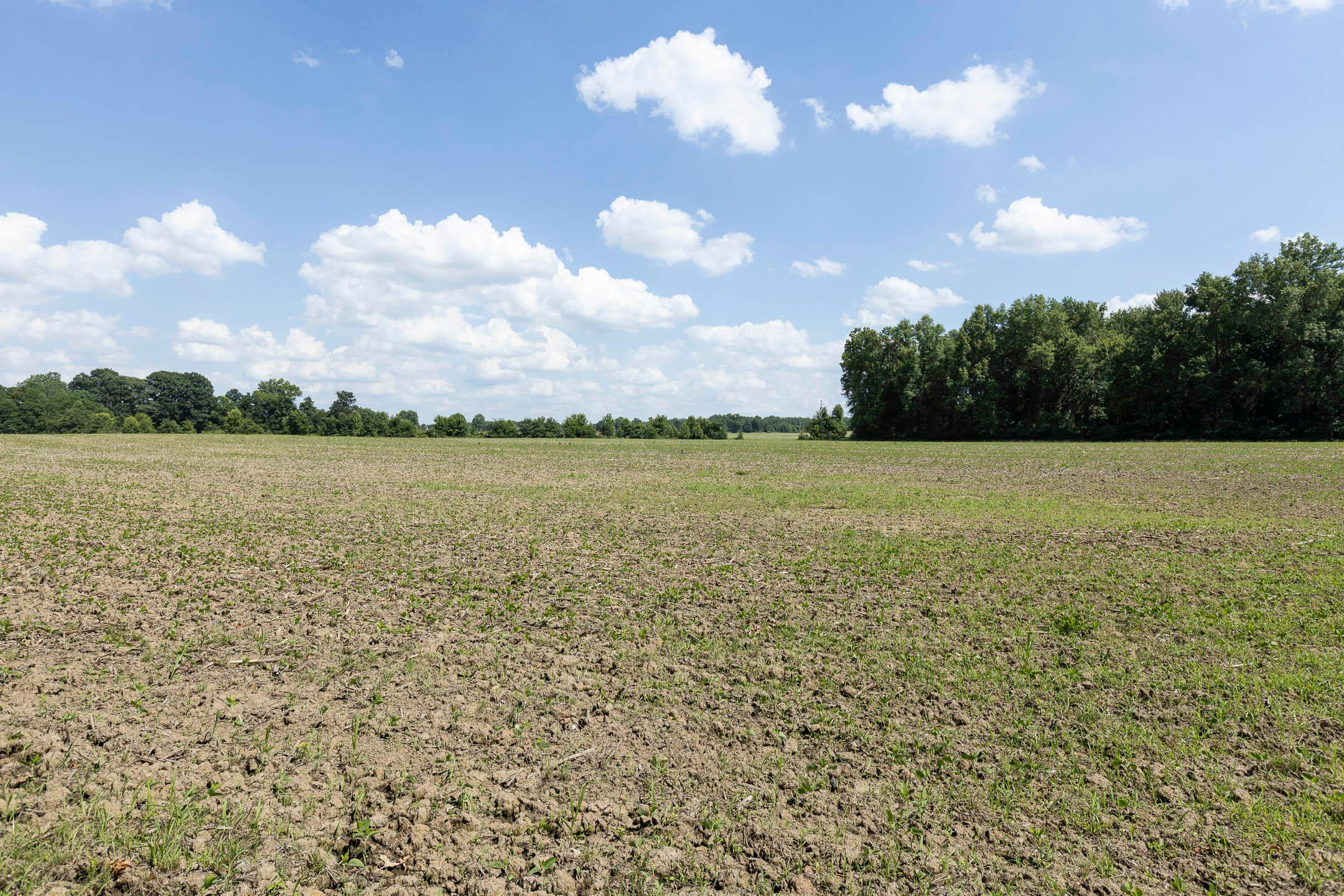 16357 Hartford Road Sunbury, OH 43074 - Photo 19 of 27 16357 Hartford Road - 019