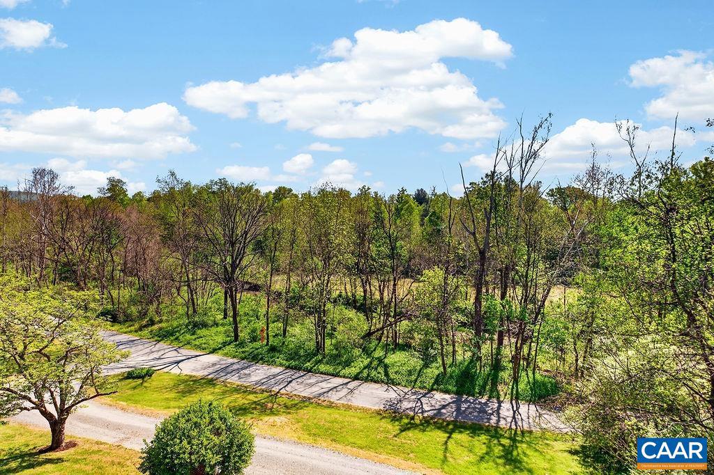 189 Old Roseland Road Roseland, VA 22967 - Photo 41 of 67