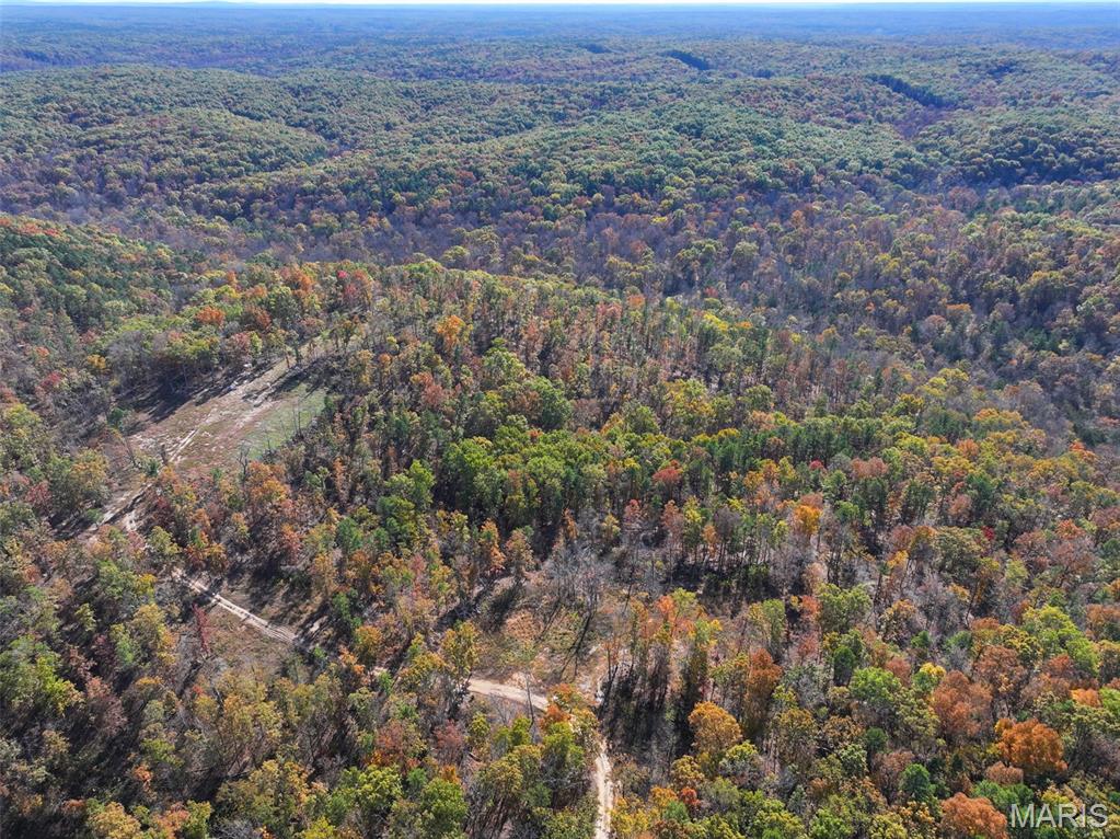 0 Floyd Tower Road Potosi, MO 63664 - Photo 1 of 40