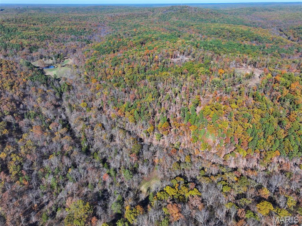 0 Floyd Tower Road Potosi, MO 63664 - Photo 13 of 40