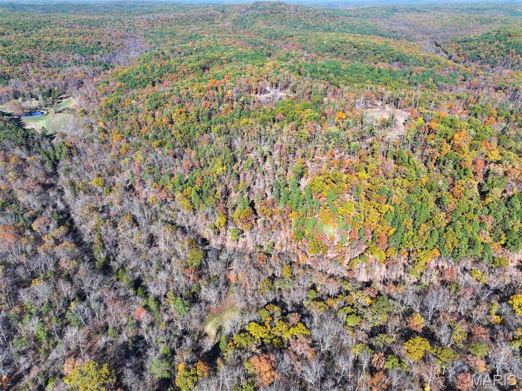 0 Floyd Tower Road Potosi, MO 63664 - Photo 14 of 40