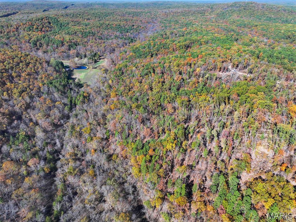 0 Floyd Tower Road Potosi, MO 63664 - Photo 15 of 40