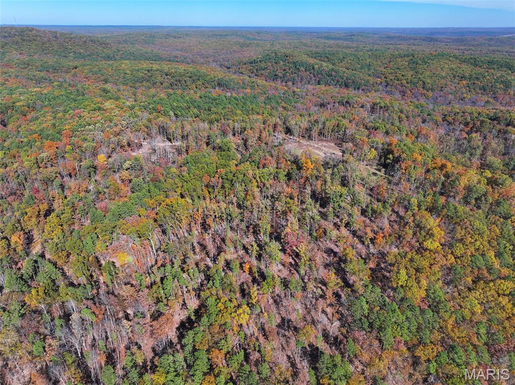 0 Floyd Tower Road Potosi, MO 63664 - Photo 16 of 40