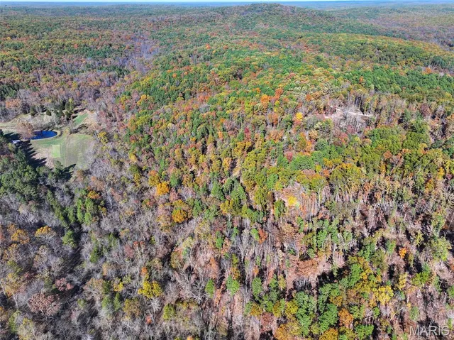 $302,130 | 0 Floyd Tower Road, Potosi, MO 63664