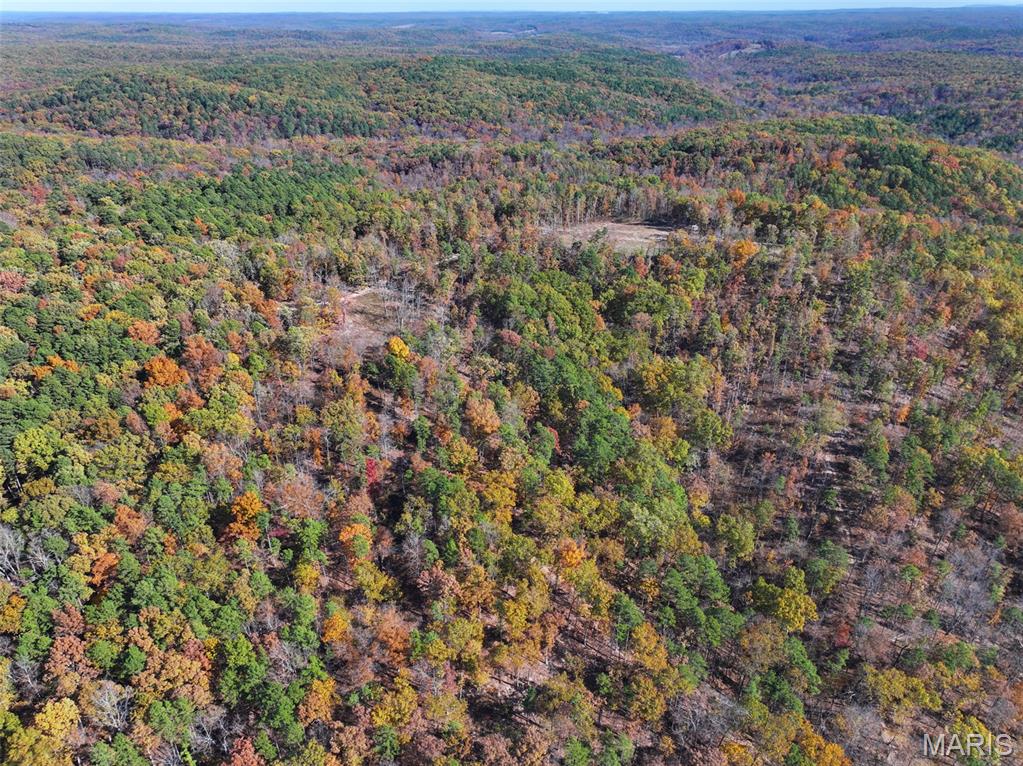 0 Floyd Tower Road Potosi, MO 63664 - Photo 19 of 40