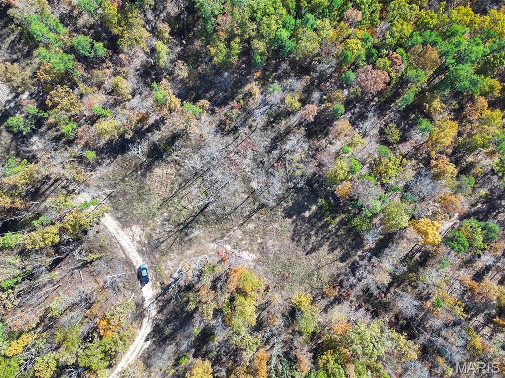 0 Floyd Tower Road Potosi, MO 63664 - Photo 20 of 40