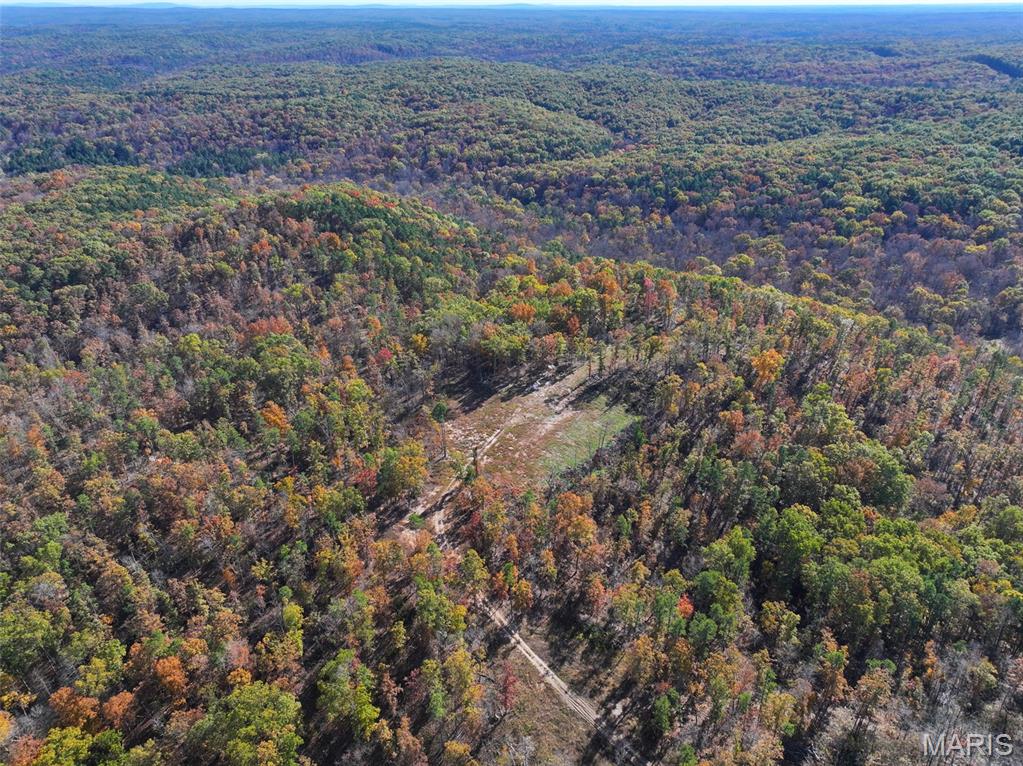 0 Floyd Tower Road Potosi, MO 63664 - Photo 2 of 40