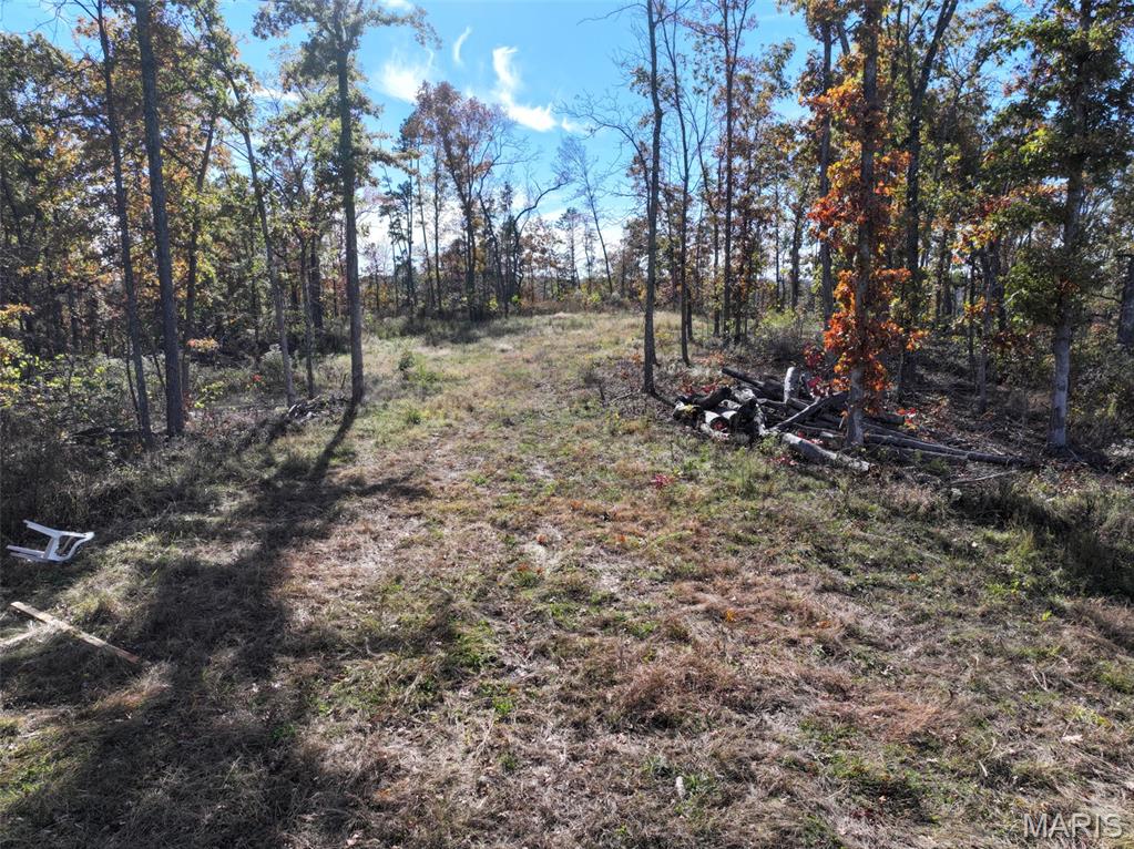 0 Floyd Tower Road Potosi, MO 63664 - Photo 23 of 40