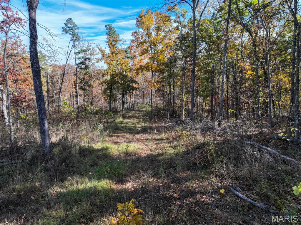 0 Floyd Tower Road Potosi, MO 63664 - Photo 26 of 40