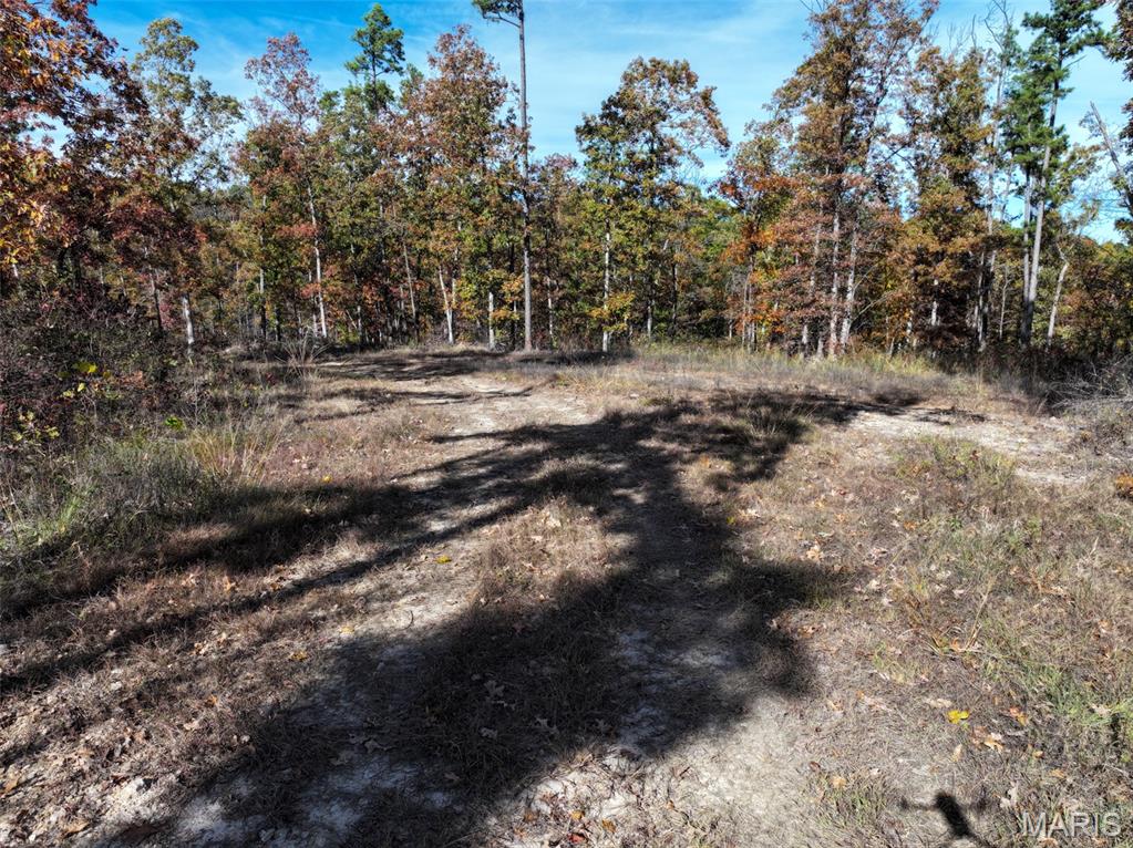 0 Floyd Tower Road Potosi, MO 63664 - Photo 27 of 40