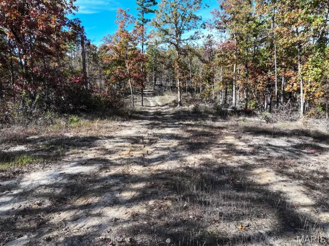 $302,130 | 0 Floyd Tower Road, Potosi, MO 63664