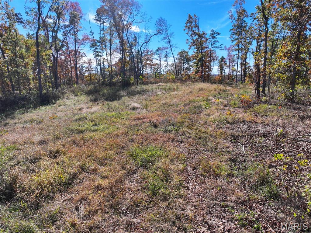 0 Floyd Tower Road Potosi, MO 63664 - Photo 29 of 40