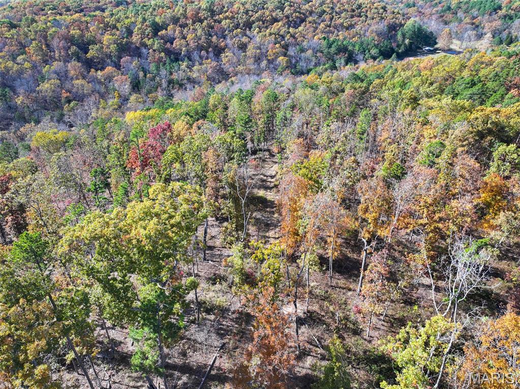 0 Floyd Tower Road Potosi, MO 63664 - Photo 30 of 40