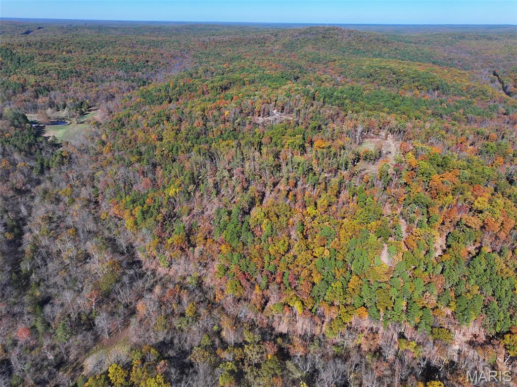 0 Floyd Tower Road Potosi, MO 63664 - Photo 3 of 40