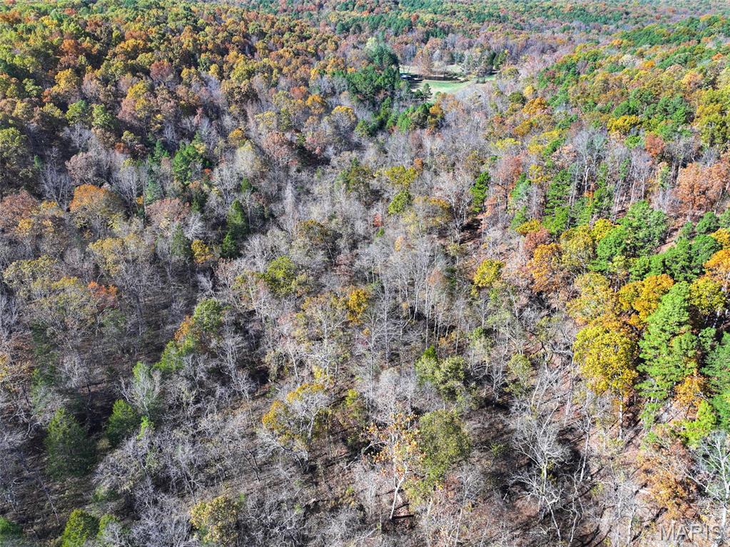 0 Floyd Tower Road Potosi, MO 63664 - Photo 31 of 40